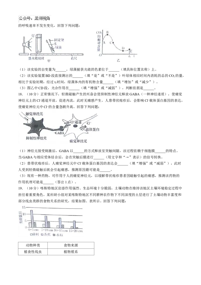 2025届高三金太阳百万9月开学联考生物试卷（有解析）_2024-2025高三（6-6月题库）_2024年09月试卷_09072025届金太阳百万（甘肃、青海、宁夏）高三9月开学大联考（1002C）