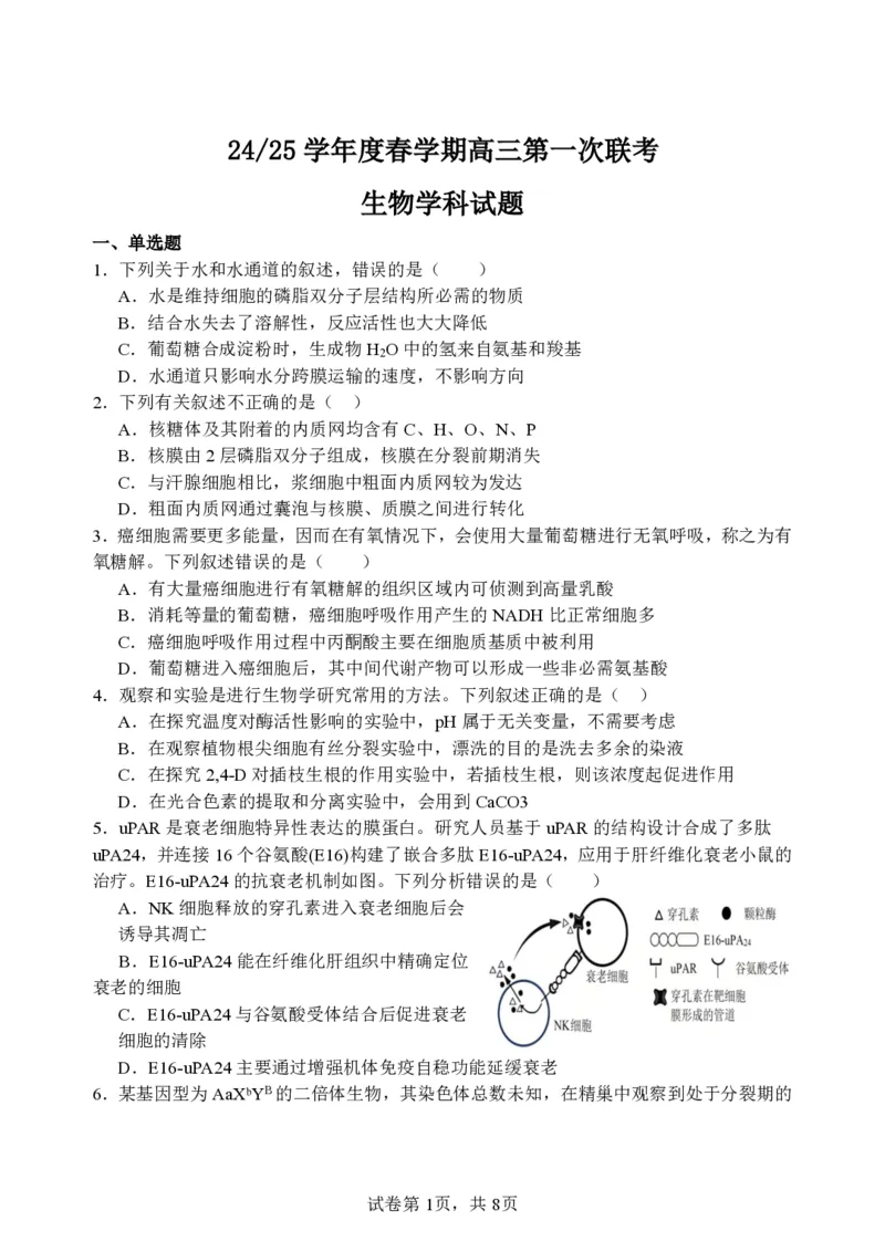 2025年春五校联考_2024-2025高三（6-6月题库）_2025年03月试卷_0308江苏省盐城市盐城市联盟校高三第一次联考2024-2025学年高三下学期3月月考_24_25学年度春学期高三第一次联考生物学科