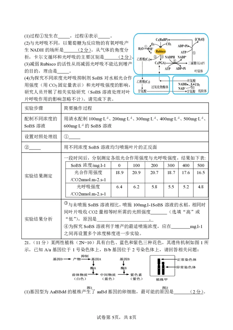 2025年春五校联考_2024-2025高三（6-6月题库）_2025年03月试卷_0308江苏省盐城市盐城市联盟校高三第一次联考2024-2025学年高三下学期3月月考_24_25学年度春学期高三第一次联考生物学科