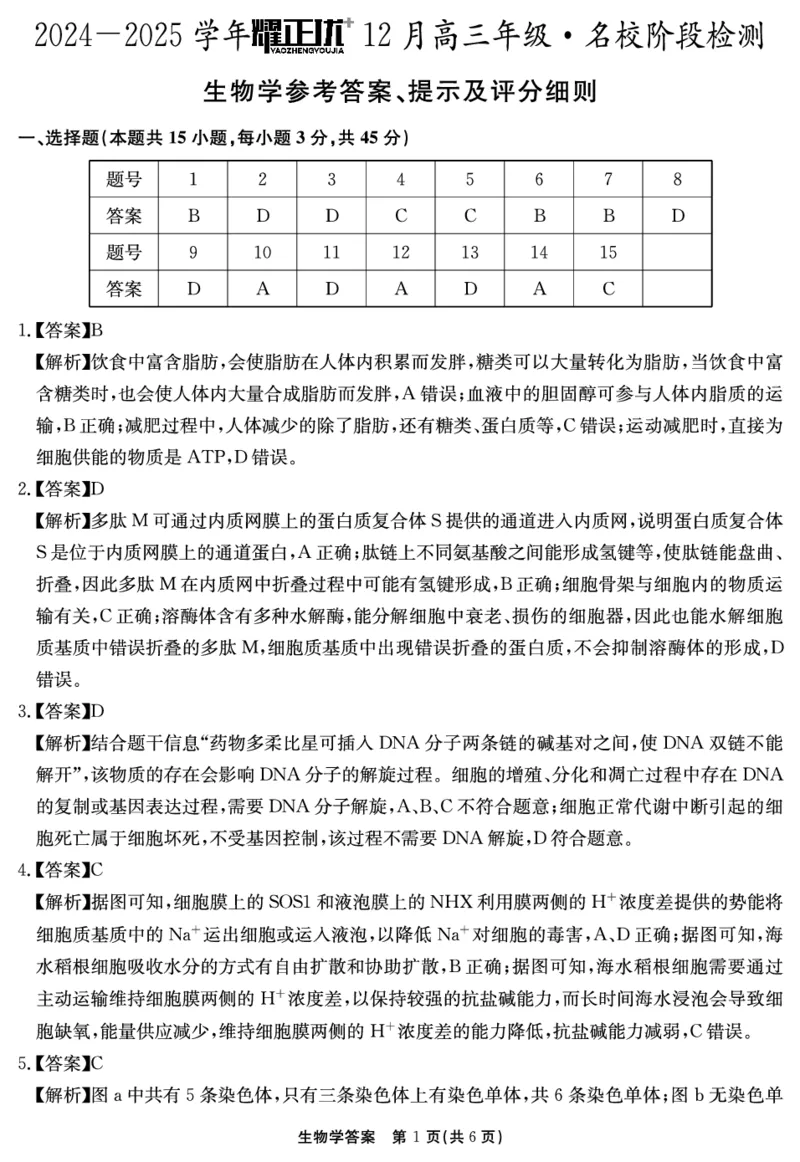 2024-2025学年耀正优12月高三年级&middot;名校阶段检测生物答案_2024-2025高三（6-6月题库）_2024年12月试卷_1222安徽省2024-2025学年耀正优12月高三年级&middot;名校阶段检测（全科）