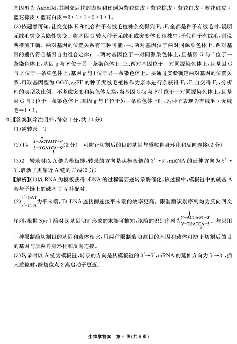 2024-2025学年耀正优12月高三年级&middot;名校阶段检测生物答案_2024-2025高三（6-6月题库）_2024年12月试卷_1222安徽省2024-2025学年耀正优12月高三年级&middot;名校阶段检测（全科）