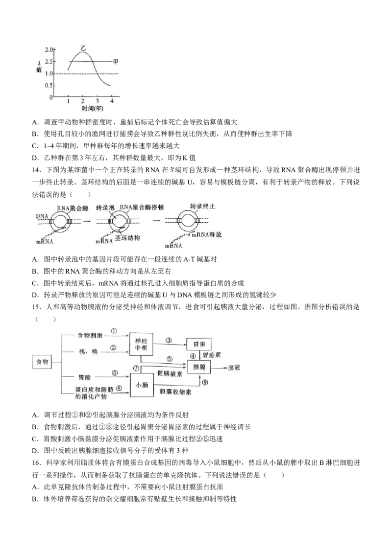 湖南省长沙市一中2023-2024学年高三下学期月考八生物试卷+答案_2024年4月_01按日期_16号_2024届湖南省长沙一中高三下学期月考（八）