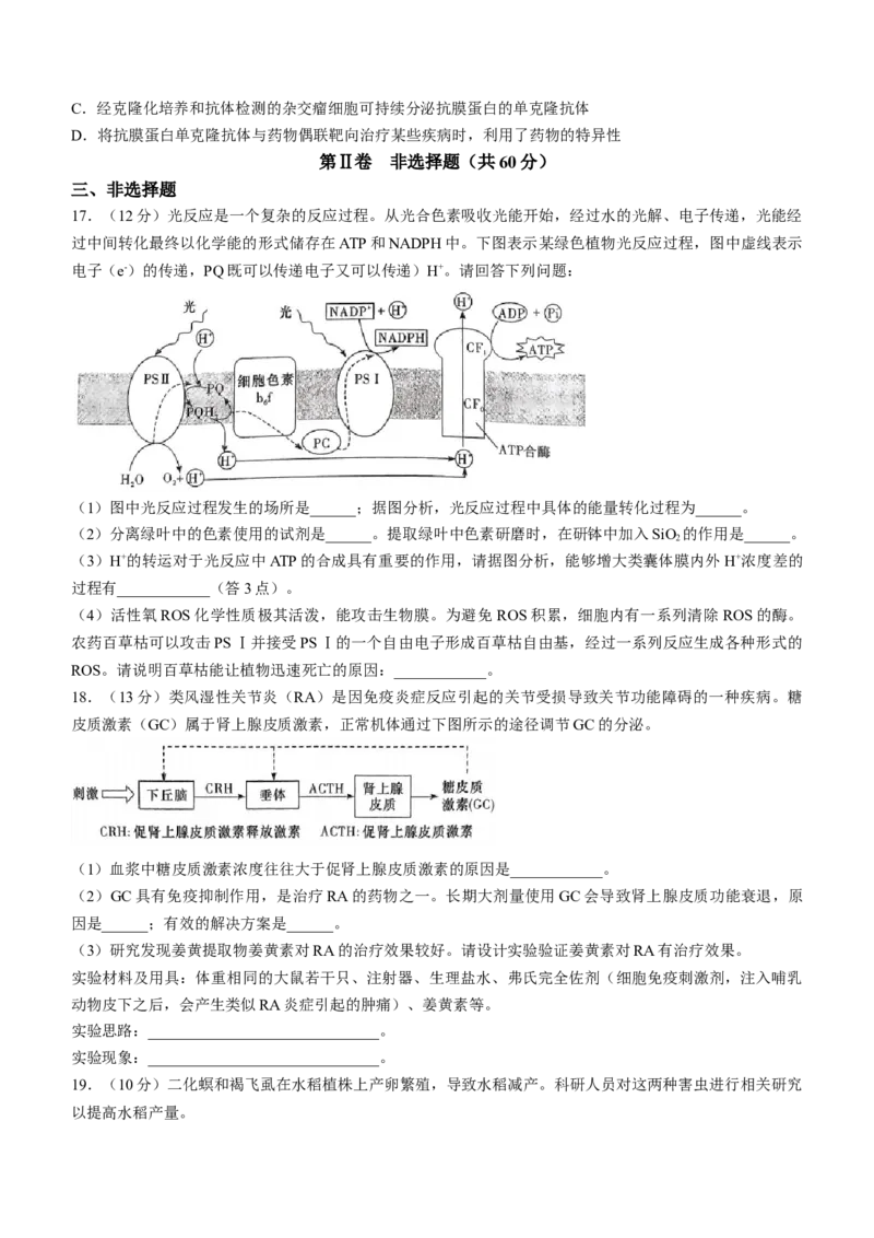 湖南省长沙市一中2023-2024学年高三下学期月考八生物试卷+答案_2024年4月_01按日期_16号_2024届湖南省长沙一中高三下学期月考（八）