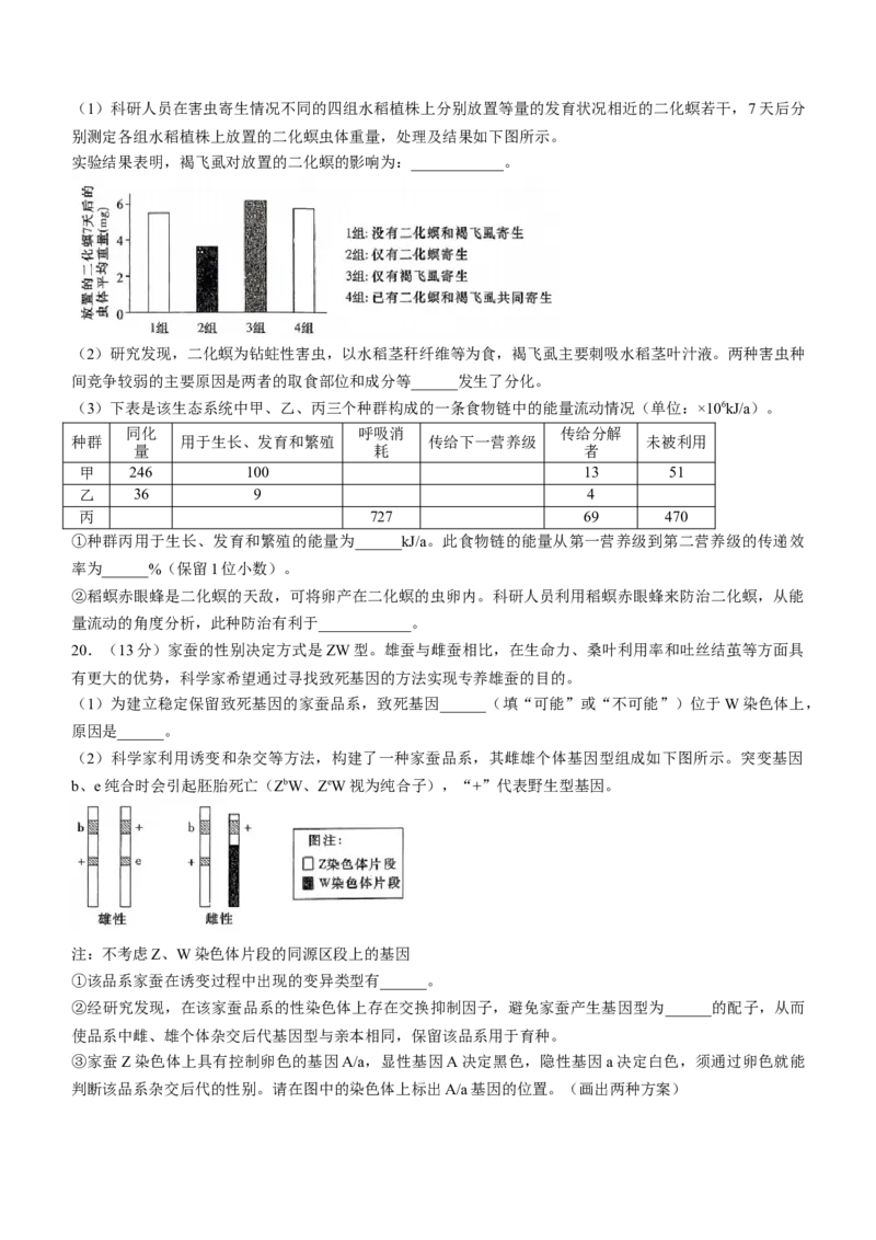 湖南省长沙市一中2023-2024学年高三下学期月考八生物试卷+答案_2024年4月_01按日期_16号_2024届湖南省长沙一中高三下学期月考（八）