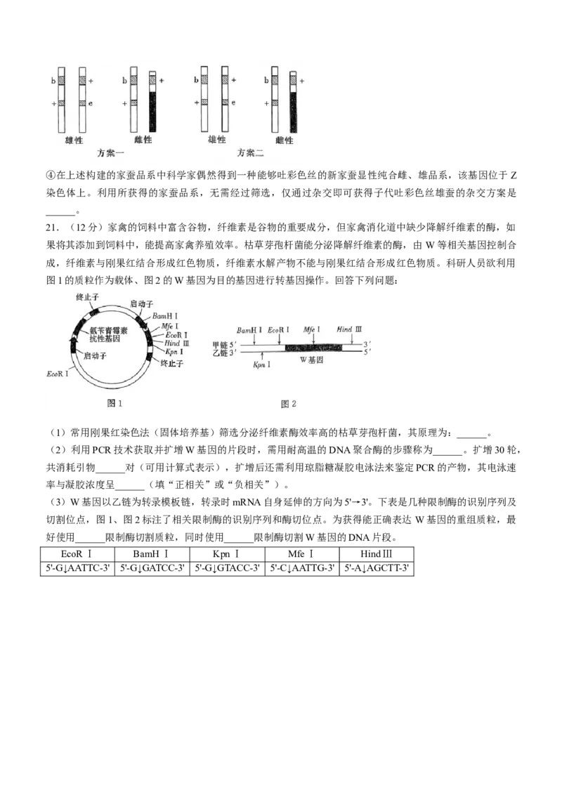 湖南省长沙市一中2023-2024学年高三下学期月考八生物试卷+答案_2024年4月_01按日期_16号_2024届湖南省长沙一中高三下学期月考（八）