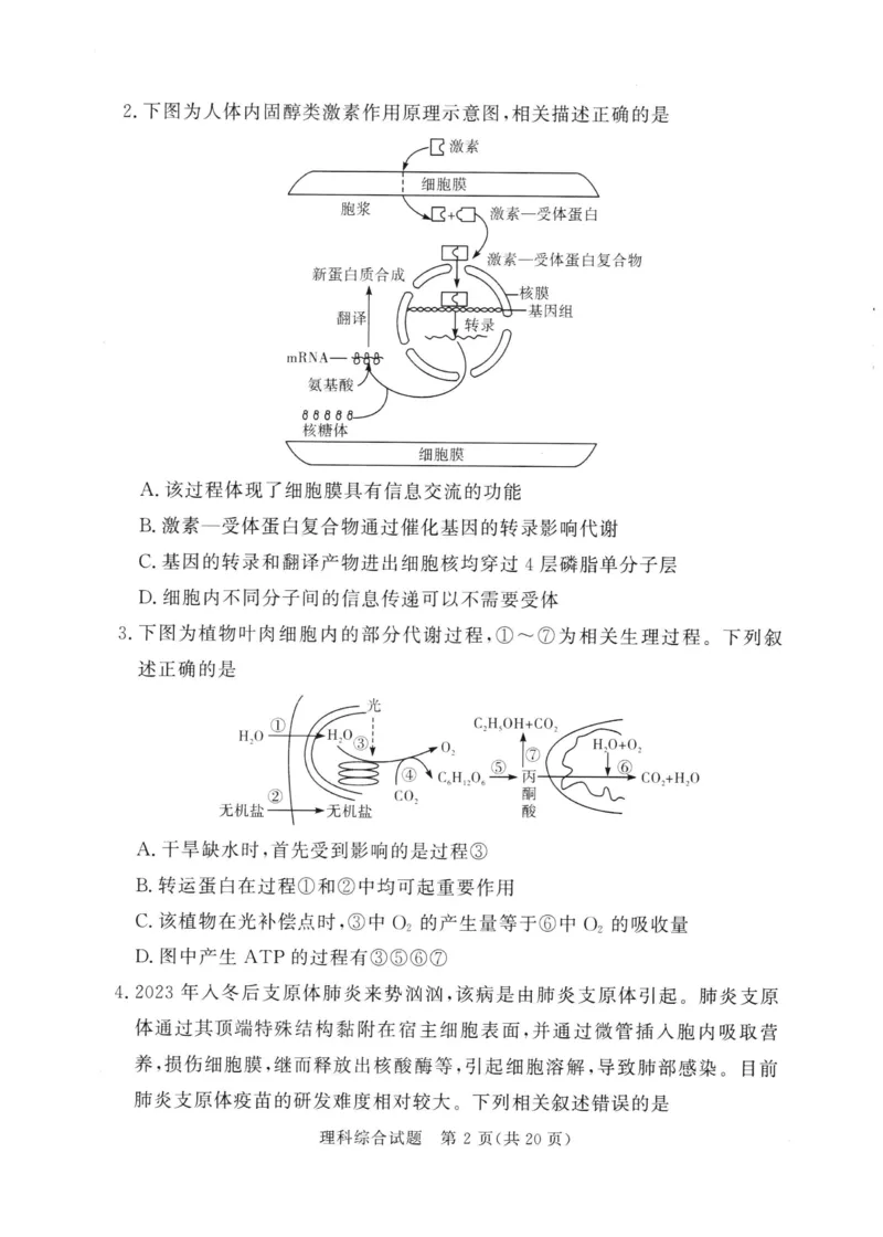 湘豫名校联考2024年2月高三第一次模拟考试理综试题_2024年3月_013月合集_2024届湘豫名校联考高三第一次模拟考试（2月）_2024届湘豫名校联考高三第一次模拟考试（2月）理综
