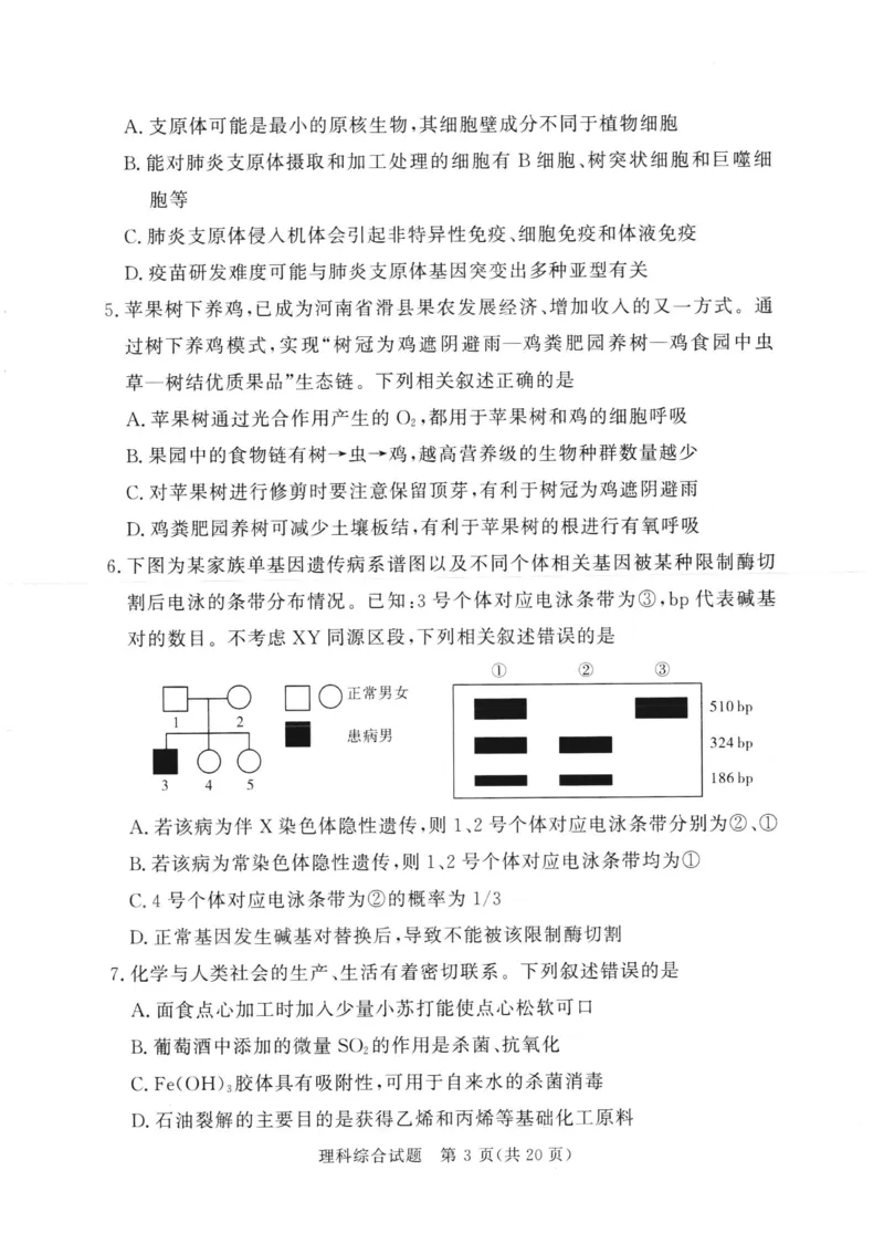 湘豫名校联考2024年2月高三第一次模拟考试理综试题_2024年3月_013月合集_2024届湘豫名校联考高三第一次模拟考试（2月）_2024届湘豫名校联考高三第一次模拟考试（2月）理综