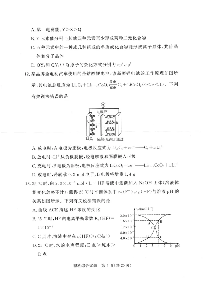 湘豫名校联考2024年2月高三第一次模拟考试理综试题_2024年3月_013月合集_2024届湘豫名校联考高三第一次模拟考试（2月）_2024届湘豫名校联考高三第一次模拟考试（2月）理综