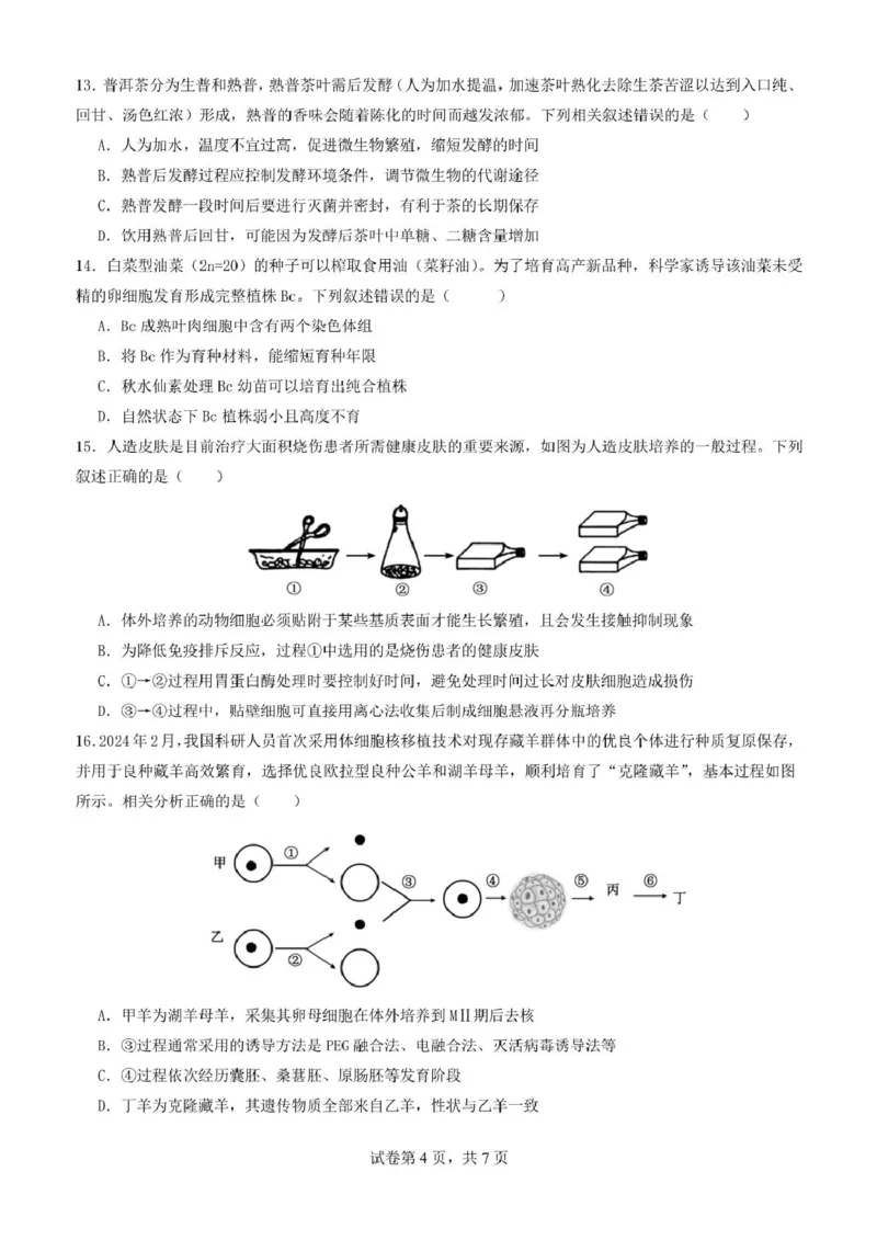云南省昆明市第十二中学教育集团2024-2025学年高二下学期期中质量检测生物试题（扫描版，含答案）_2024-2025高二（7-7月题库）_2025年05月试卷