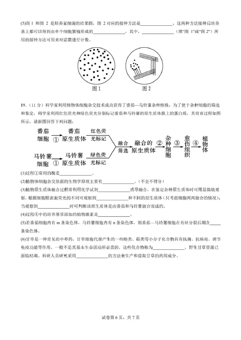 云南省昆明市第十二中学教育集团2024-2025学年高二下学期期中质量检测生物试题（扫描版，含答案）_2024-2025高二（7-7月题库）_2025年05月试卷