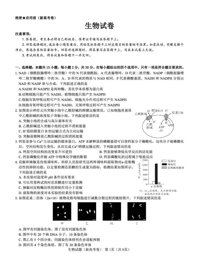 新高考卷名校教研联盟2024届高三2月开学考试生物(1)_2024年3月_013月合集_2024届名校教研联盟高三2月开学考试