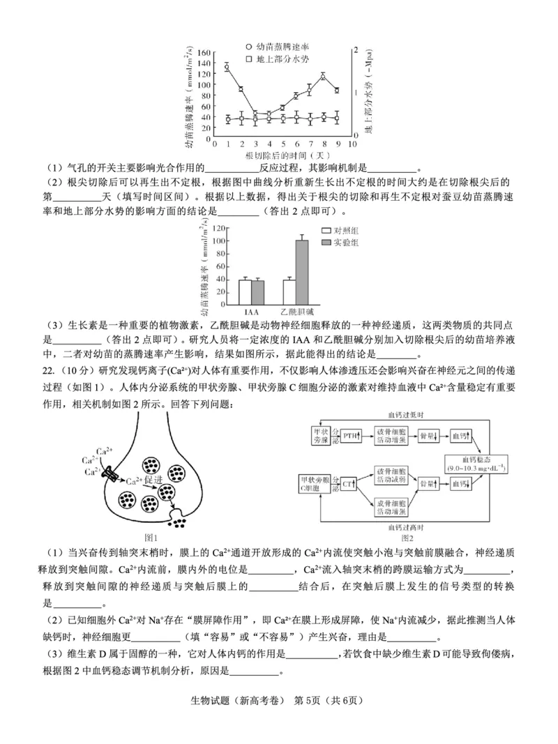新高考卷名校教研联盟2024届高三2月开学考试生物(1)_2024年3月_013月合集_2024届名校教研联盟高三2月开学考试