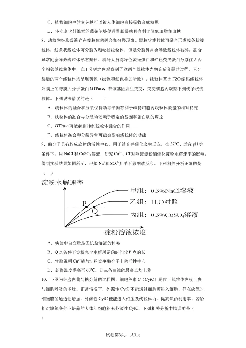 2023-2024学年度上学期高三生物期中考试卷(1)_2023年11月_0211月合集_2024届福建省莆田锦江中学高三上学期期中考试_福建省莆田锦江中学2024届高三上学期期中考试生物