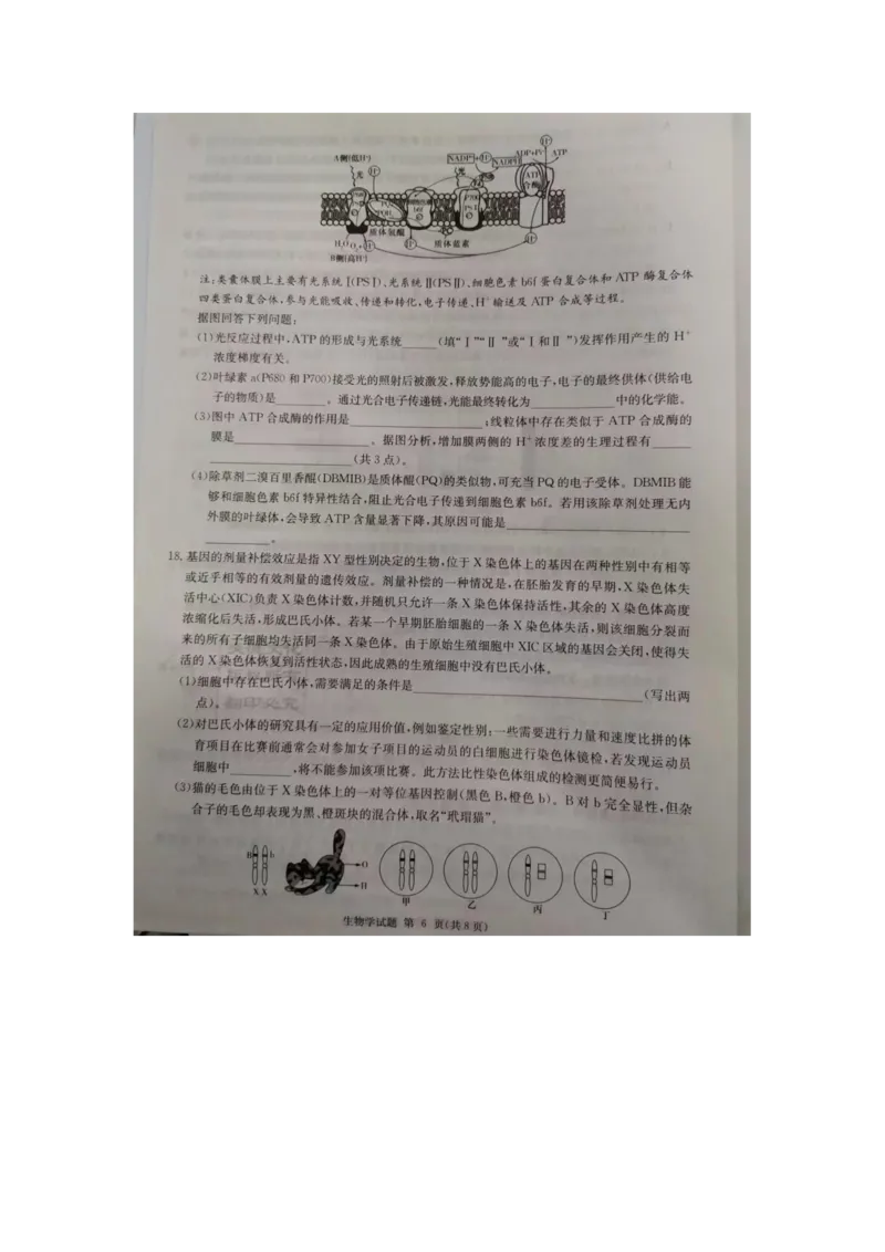 湖南省2023届高三九校联盟第二次联考生物(1)_2024年2月_022月合集_2023届高三九校联盟第二次联考（全科含答案）