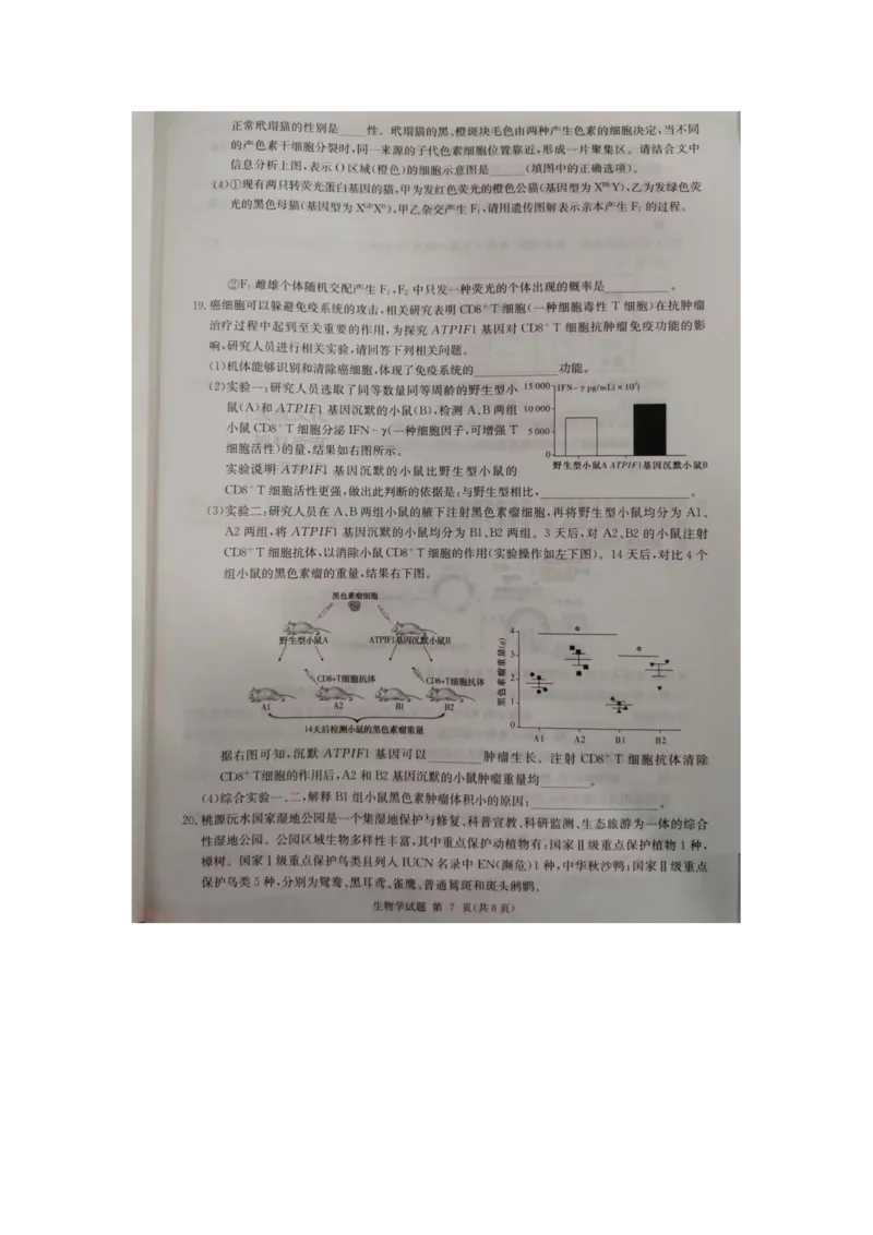湖南省2023届高三九校联盟第二次联考生物(1)_2024年2月_022月合集_2023届高三九校联盟第二次联考（全科含答案）