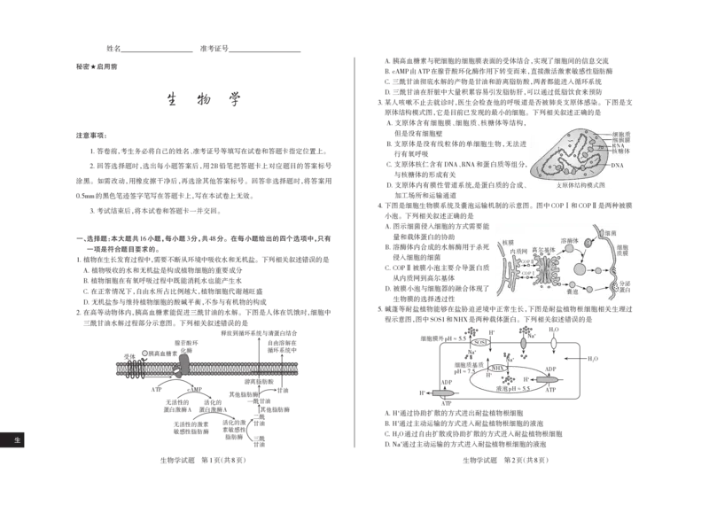 2024-2025学年高三备考核心模拟中期考试试题生物学_Print_2024-2025高三（6-6月题库）_2024年11月试卷_1122山西思而行2024-2025学年高三备考核心模拟中期考试（全科）