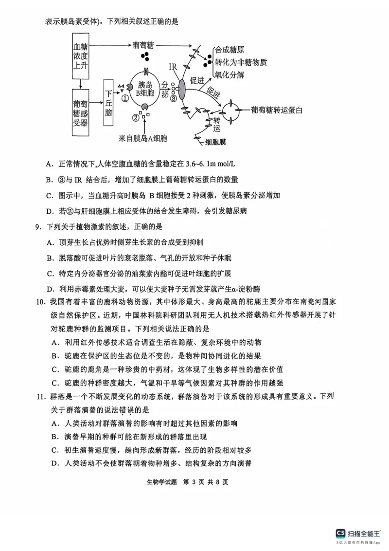 2024年&ldquo;江南十校&rdquo;新高三第一次综合素质检测生物试题_2024-2025高三（6-6月题库）_2024年10月试卷_1011安徽省江南十校2024-2025学年高三上学期第一次综合素质检测