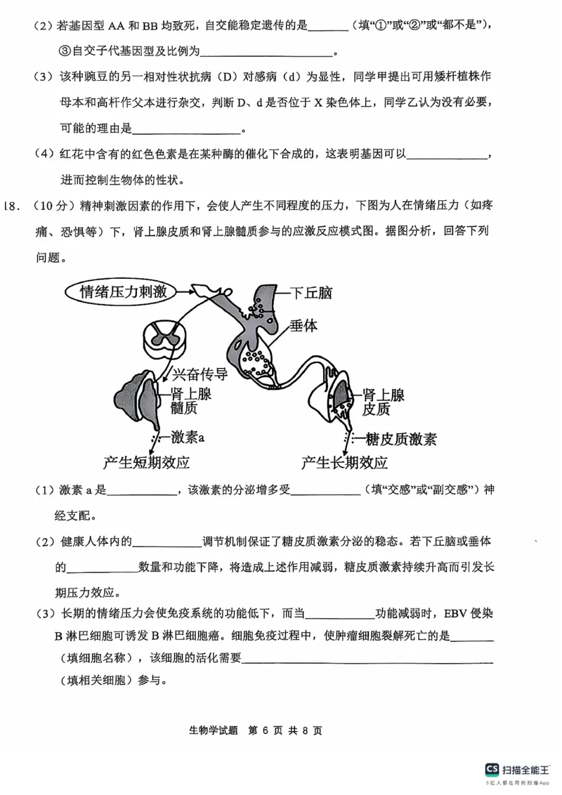 2024年&ldquo;江南十校&rdquo;新高三第一次综合素质检测生物试题_2024-2025高三（6-6月题库）_2024年10月试卷_1011安徽省江南十校2024-2025学年高三上学期第一次综合素质检测