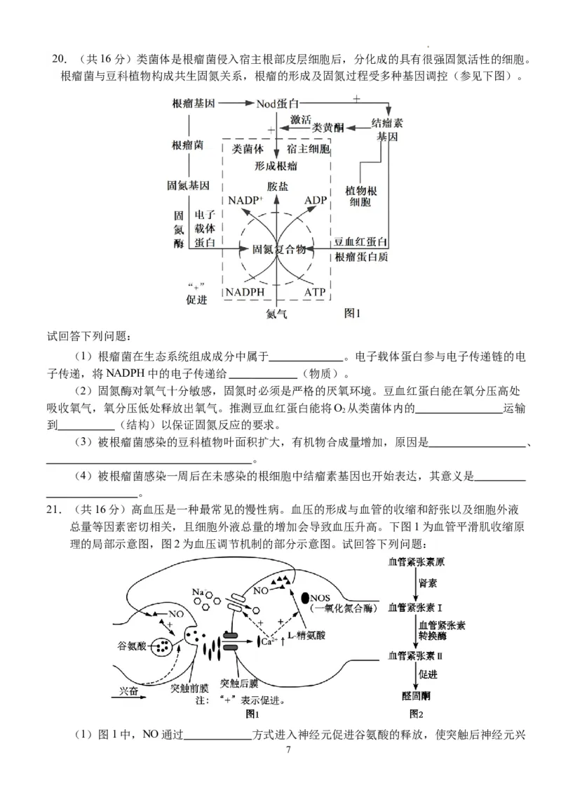 湖北省沙市中学2024届高三下学期3月月考生物(1)_2024年3月_013月合集_2024届湖北省沙市中学高三下学期3月月考
