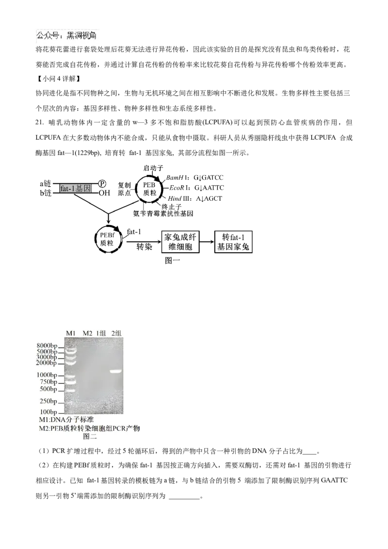 2025届湖南省益阳市一模生物试题Word版含解析_2024-2025高三（6-6月题库）_2024年09月试卷_0910湖南省益阳市2024-2025学年高三上学期9月第一次教学质量检测