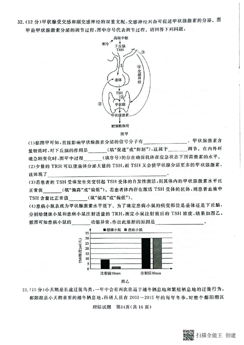 河南省2024届普通高等学校招生全国统一考试青桐鸣2月大联考理综_2024年2月_01每日更新_05号_2024届河南省普通高等学校招生全国统一考试青桐鸣2月大联考