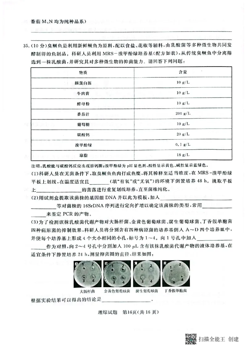河南省2024届普通高等学校招生全国统一考试青桐鸣2月大联考理综_2024年2月_01每日更新_05号_2024届河南省普通高等学校招生全国统一考试青桐鸣2月大联考