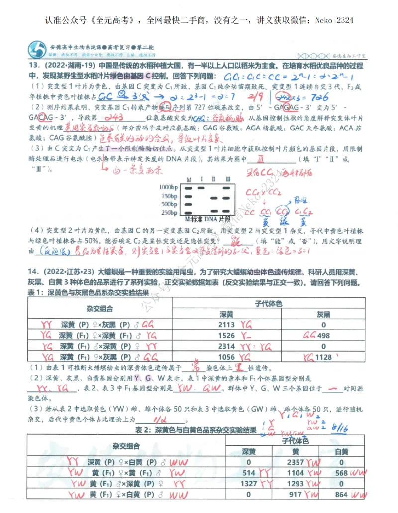 2024李林二轮笔记_2024-2025高三（6-6月题库）_2024年09月试卷_李林