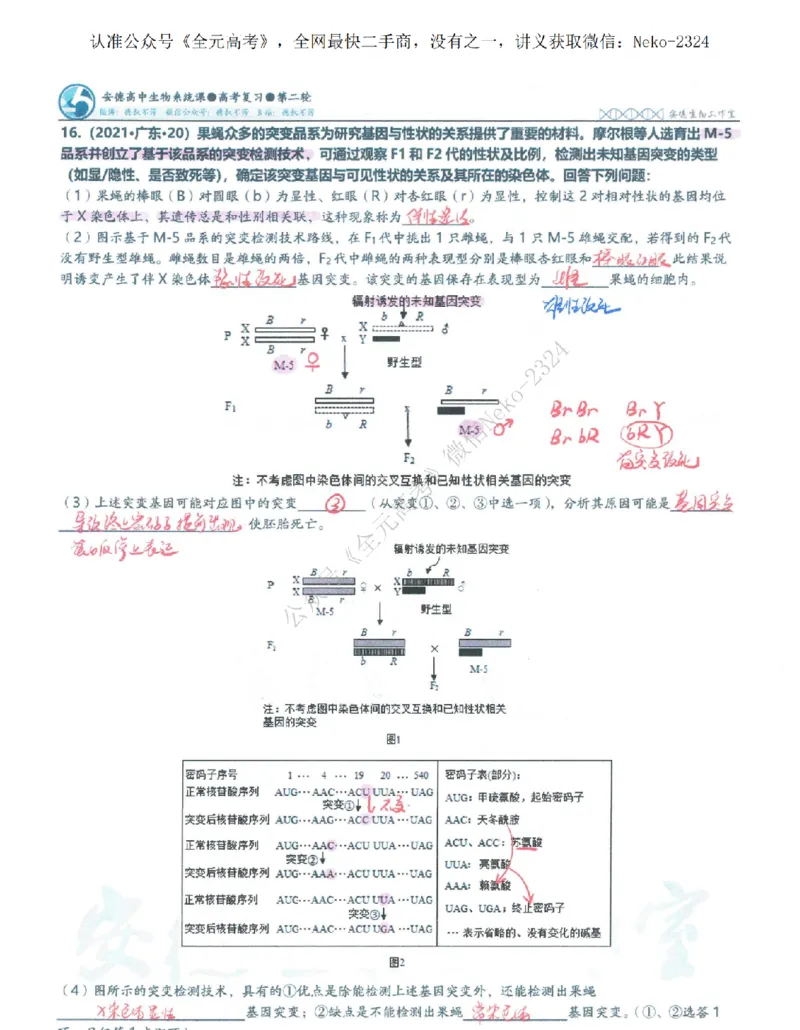 2024李林二轮笔记_2024-2025高三（6-6月题库）_2024年09月试卷_李林