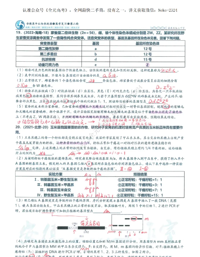 2024李林二轮笔记_2024-2025高三（6-6月题库）_2024年09月试卷_李林