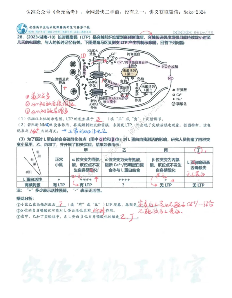 2024李林二轮笔记_2024-2025高三（6-6月题库）_2024年09月试卷_李林