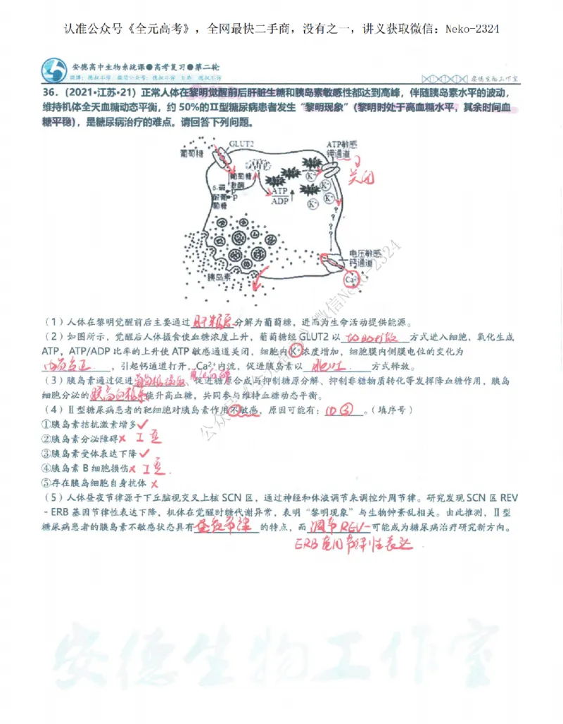 2024李林二轮笔记_2024-2025高三（6-6月题库）_2024年09月试卷_李林