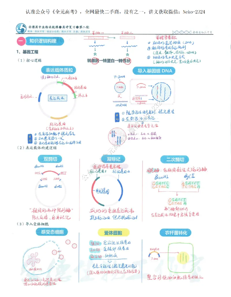 2024李林二轮笔记_2024-2025高三（6-6月题库）_2024年09月试卷_李林