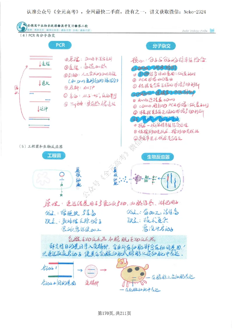 2024李林二轮笔记_2024-2025高三（6-6月题库）_2024年09月试卷_李林