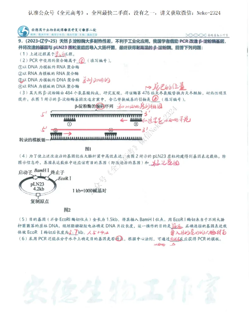 2024李林二轮笔记_2024-2025高三（6-6月题库）_2024年09月试卷_李林