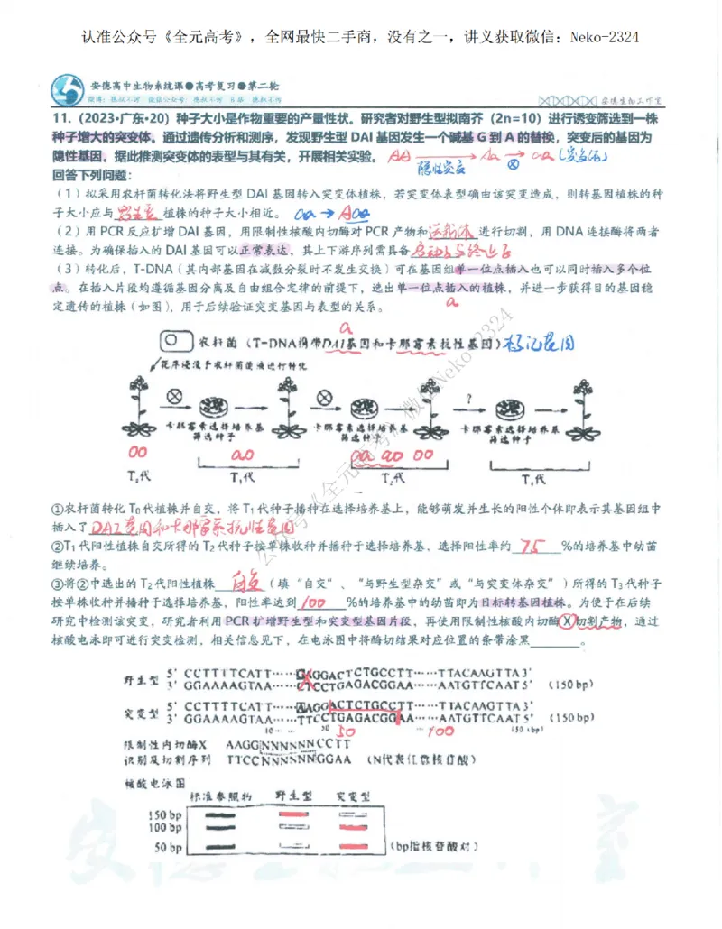 2024李林二轮笔记_2024-2025高三（6-6月题库）_2024年09月试卷_李林