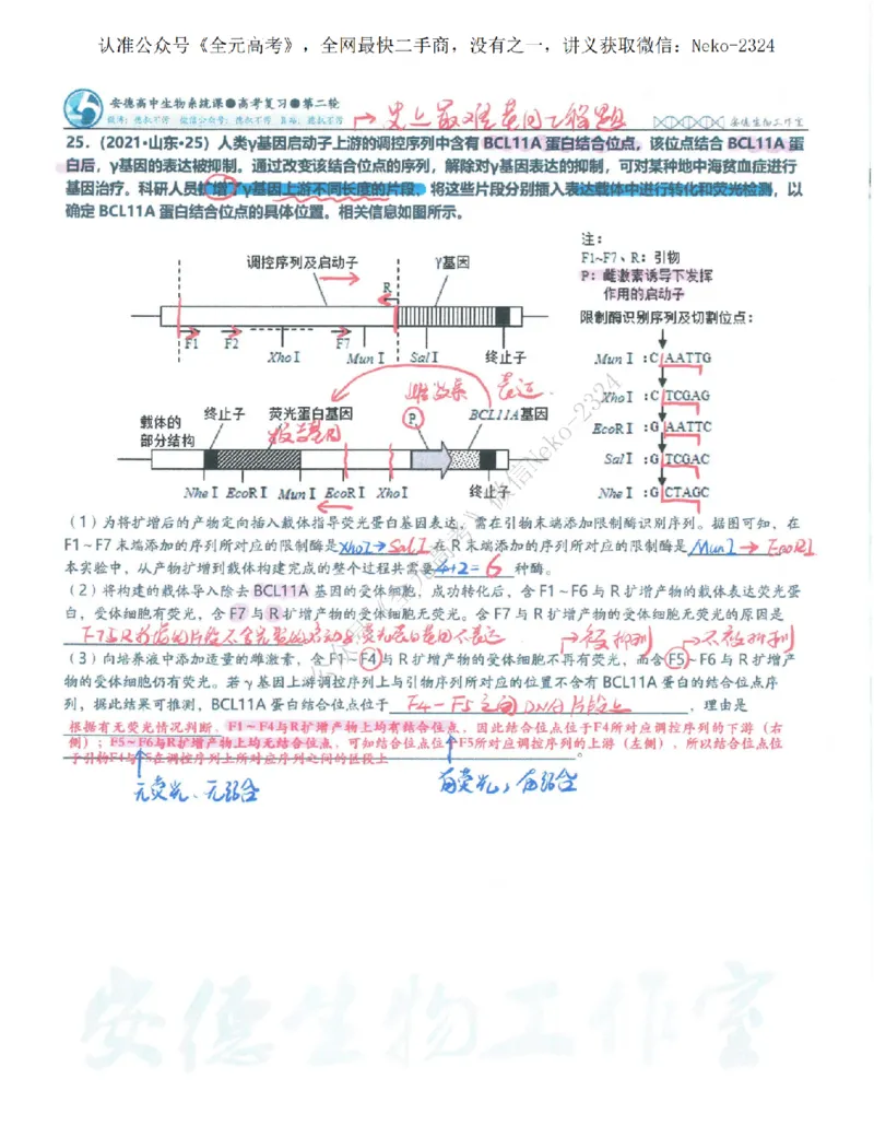 2024李林二轮笔记_2024-2025高三（6-6月题库）_2024年09月试卷_李林