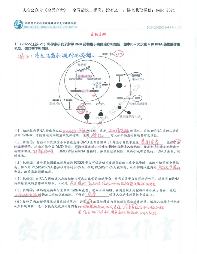 2024李林二轮笔记_2024-2025高三（6-6月题库）_2024年09月试卷_李林