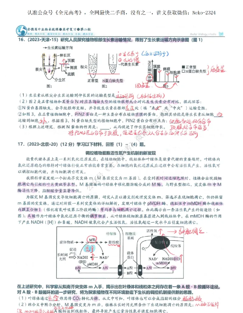 2024李林二轮笔记_2024-2025高三（6-6月题库）_2024年09月试卷_李林