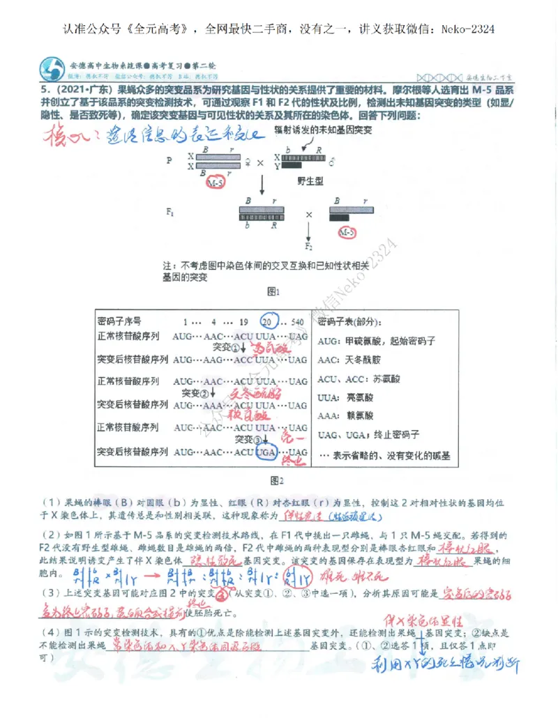 2024李林二轮笔记_2024-2025高三（6-6月题库）_2024年09月试卷_李林