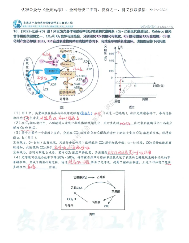2024李林二轮笔记_2024-2025高三（6-6月题库）_2024年09月试卷_李林