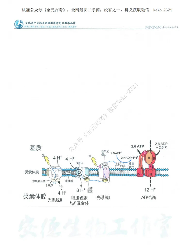 2024李林二轮笔记_2024-2025高三（6-6月题库）_2024年09月试卷_李林
