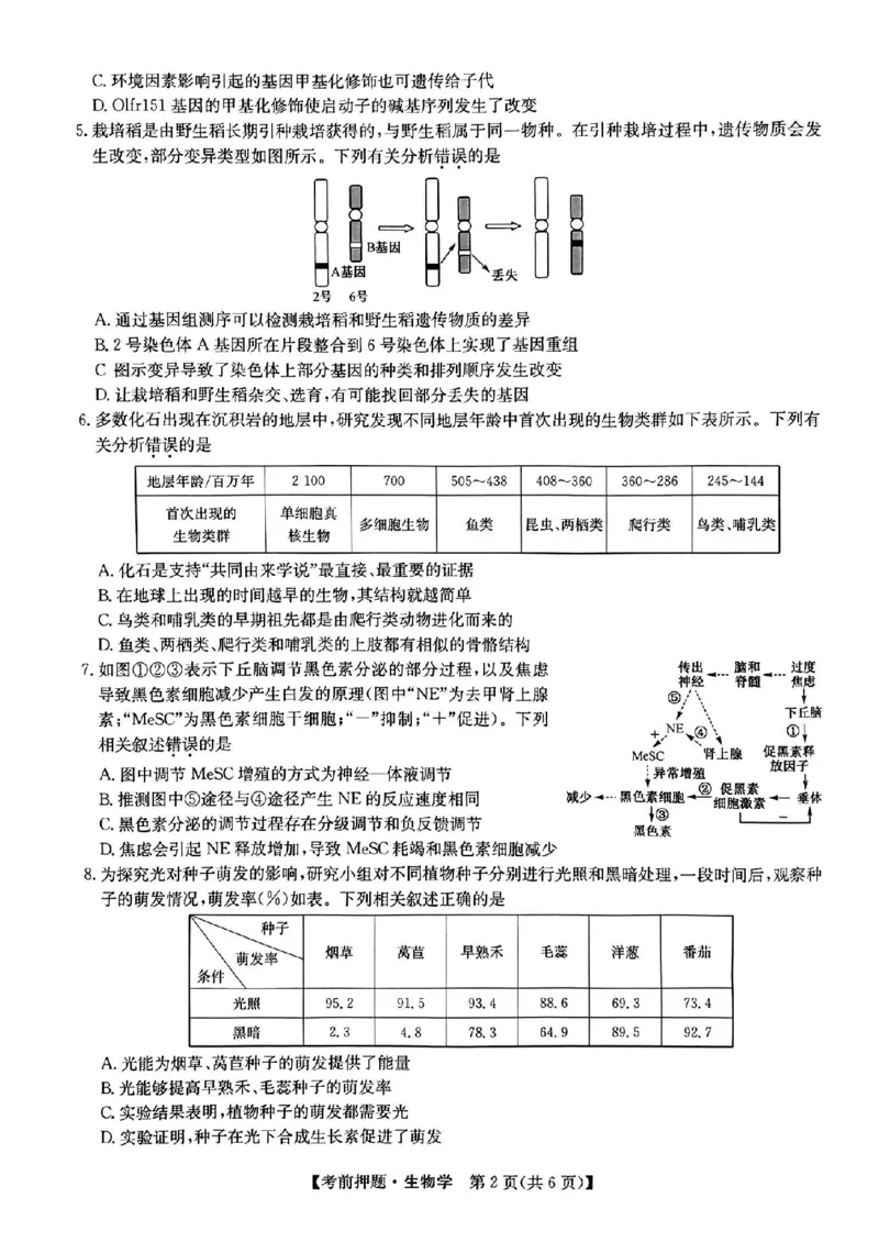 江西省2024届九师联盟高三5月联考生物试题_2024年5月_01按日期_23号_2024届九师联盟高三年级5月考前押题（新高考）_九师联盟2024届高三年级5月考前押题生物
