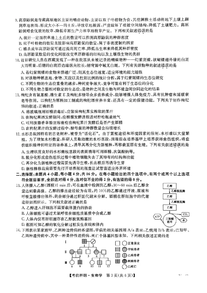 江西省2024届九师联盟高三5月联考生物试题_2024年5月_01按日期_23号_2024届九师联盟高三年级5月考前押题（新高考）_九师联盟2024届高三年级5月考前押题生物