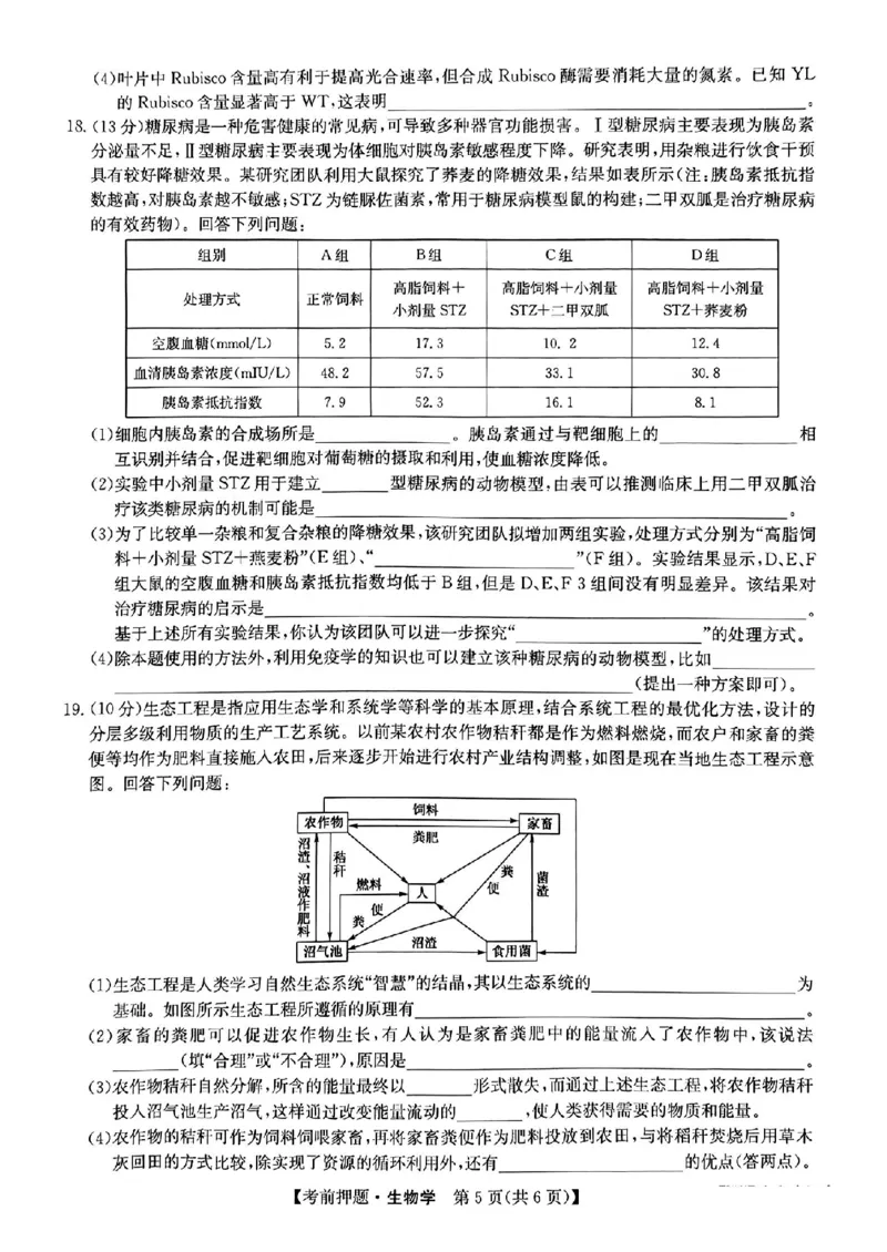 江西省2024届九师联盟高三5月联考生物试题_2024年5月_01按日期_23号_2024届九师联盟高三年级5月考前押题（新高考）_九师联盟2024届高三年级5月考前押题生物