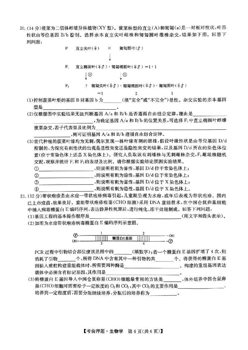 江西省2024届九师联盟高三5月联考生物试题_2024年5月_01按日期_23号_2024届九师联盟高三年级5月考前押题（新高考）_九师联盟2024届高三年级5月考前押题生物
