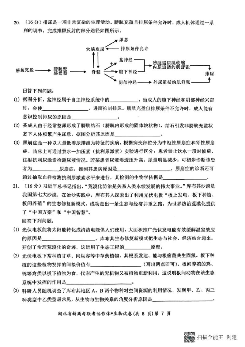 湖北省新高考联考协作体2024届高三下学期2月收心考试生物(1)_2024年2月_022月合集_2024届湖北省新高考联考协作体高三下学期2月收心考试