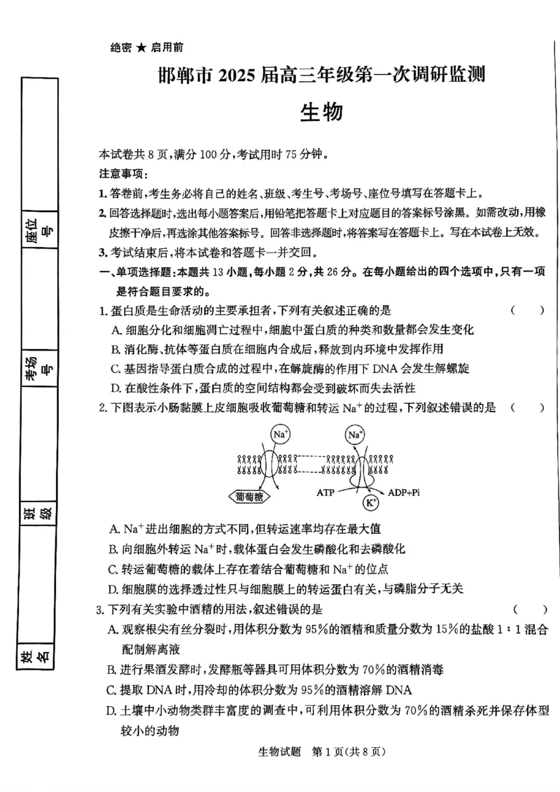 2025届河北省邯郸市高三上学期第一次调研检测生物试卷_2024-2025高三（6-6月题库）_2024年09月试卷_09232025届河北省邯郸市高三上学期第一次调研检测试卷