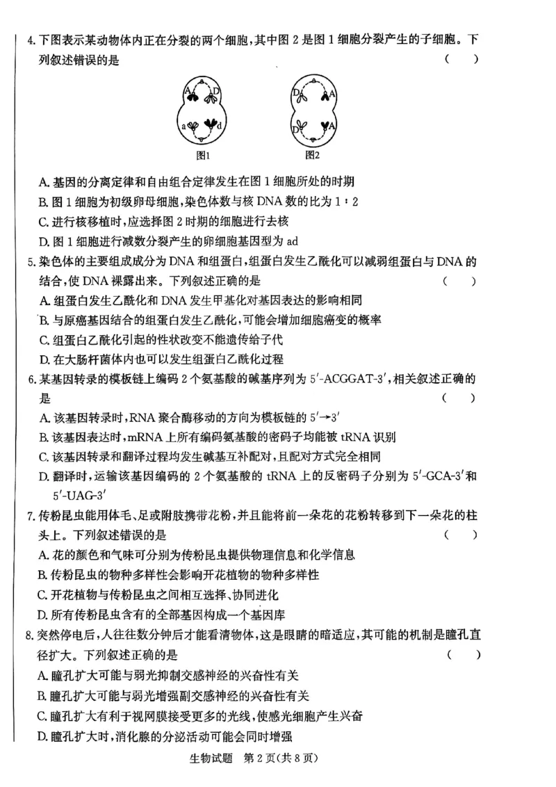 2025届河北省邯郸市高三上学期第一次调研检测生物试卷_2024-2025高三（6-6月题库）_2024年09月试卷_09232025届河北省邯郸市高三上学期第一次调研检测试卷