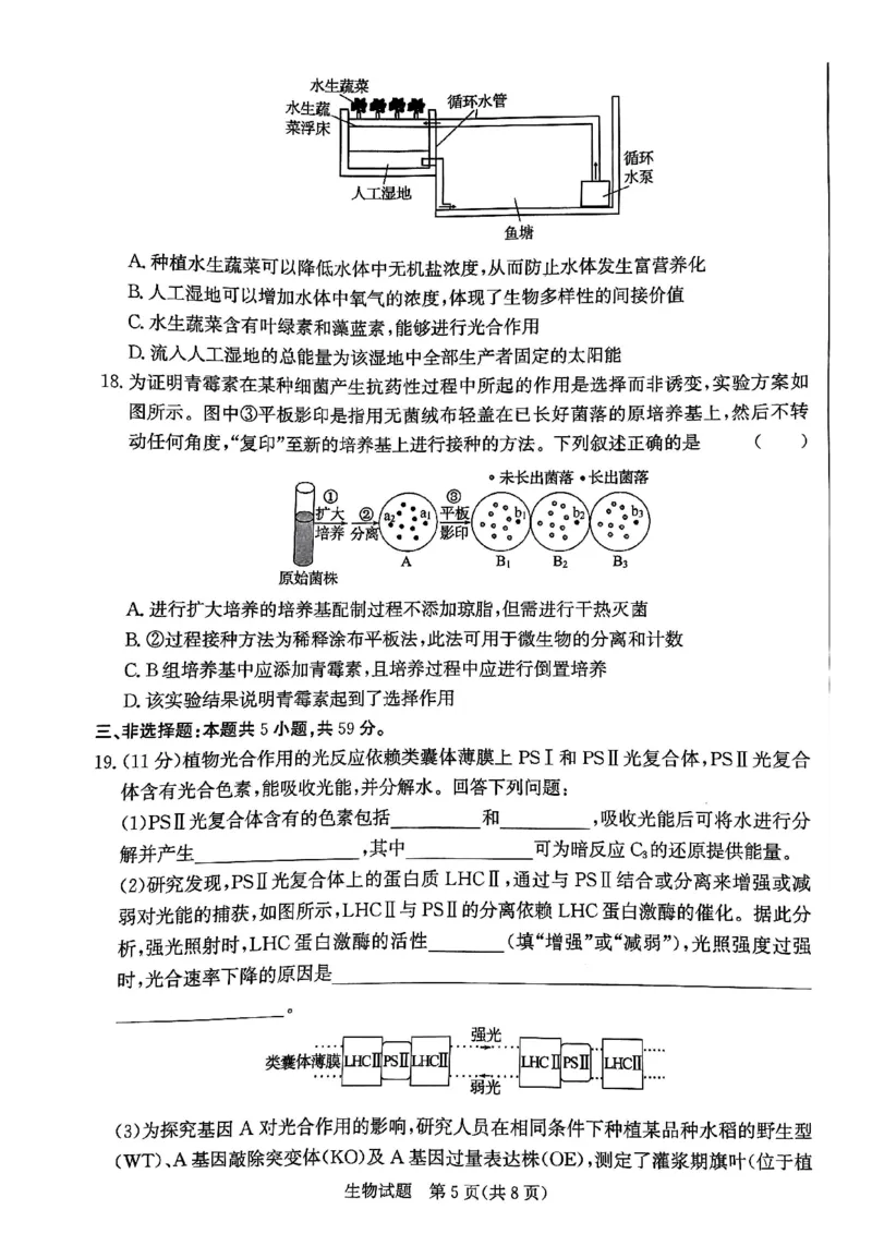 2025届河北省邯郸市高三上学期第一次调研检测生物试卷_2024-2025高三（6-6月题库）_2024年09月试卷_09232025届河北省邯郸市高三上学期第一次调研检测试卷