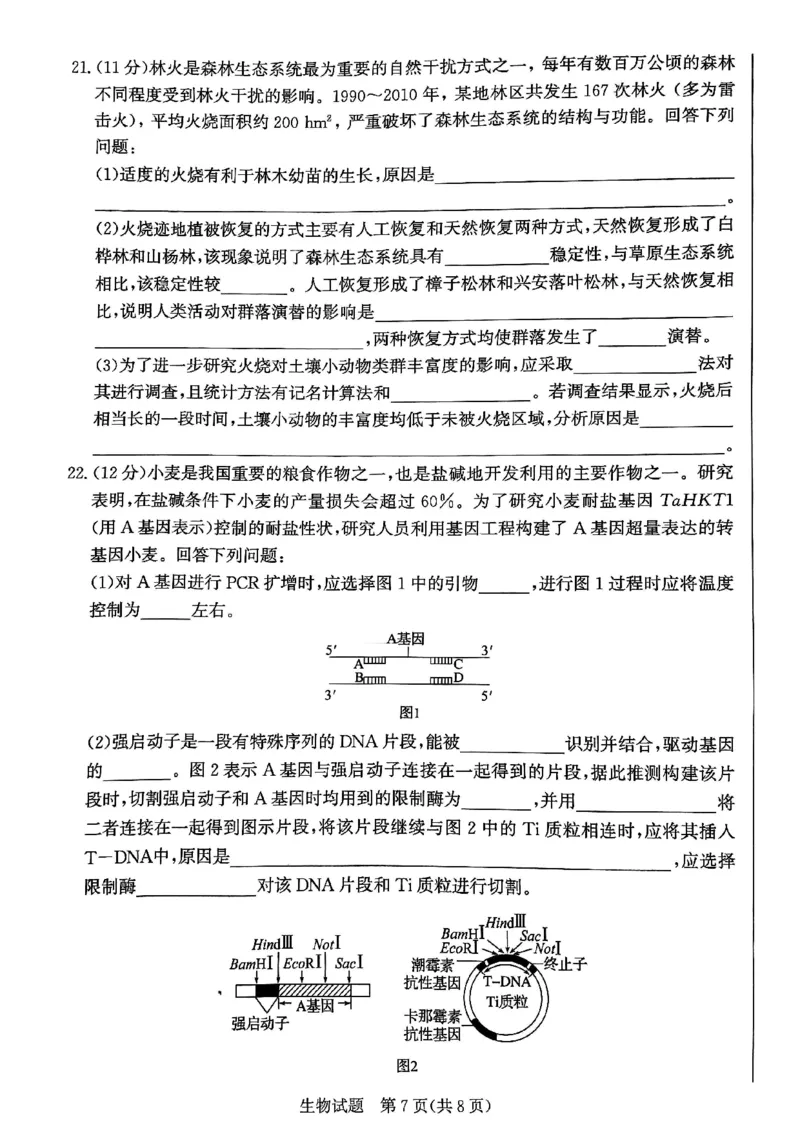 2025届河北省邯郸市高三上学期第一次调研检测生物试卷_2024-2025高三（6-6月题库）_2024年09月试卷_09232025届河北省邯郸市高三上学期第一次调研检测试卷